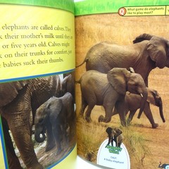 National Geographic Kids Book Lot of 6 RL 2-3 Early Readers Animals Rocks Meteor