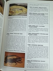 The Biology Husbandry and Health Care of Reptiles Vols. 1, 2 & 3 HC/DJ – VGC