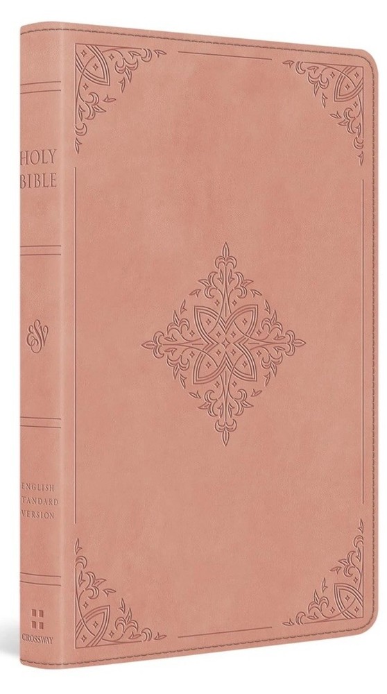 ESV Large Print Value Thinline Bible: Holy Bible, English Standard Version