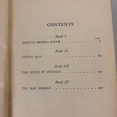 The Devine Fire 1904 By May Sinclair Published Henry Holt And Company