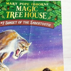 Magic Tree House Books 1-15 Complete Box Set Collection #1 PB Mary Pope Osborne