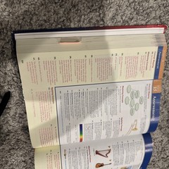 Physics : Principles and Problems by W. Zitzewitz TE Teacher Edition Glencoe
