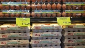 U.S. to Import Eggs from Turkey and South Korea