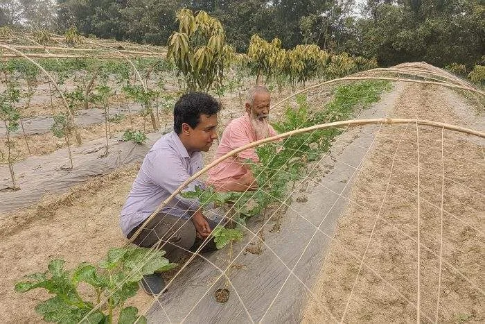 রাজশাহীর গোদাগাড়ীতে ডিজিটাল কৃষির বিপ্লব