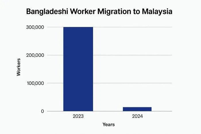 Bar chart showing steep decline in Bangladeshi worker migration to Malaysia from 2023 to 2024.