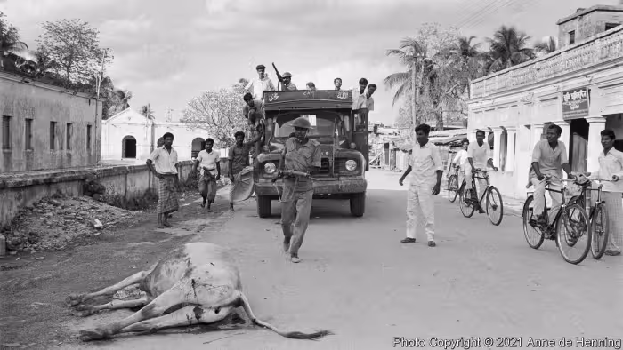 US Resolution Seeks Recognition of 1971 Bangladesh Genocide