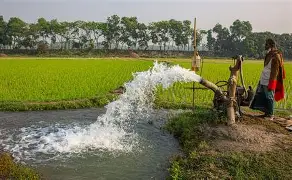Thousands of Irrigation Pumps Shut Down Amid Diesel Crisis