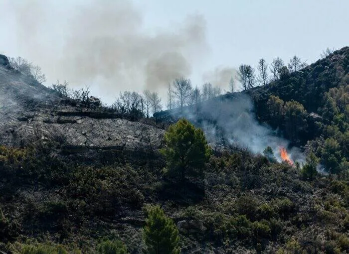 A panoramic high-definition photograph of a scorched pine forest in southern Spain under a smoke-filled sky, with orange embers glowing on the burnt ground and mountains in the far distance.