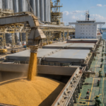 China Ramps Up US Soybean Purchases as Prices Fall