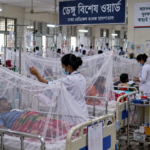 Bangladesh Reports Record Daily Dengue Hospitalisations, Five More Deaths