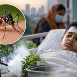 Dengue Spreads in Bangladesh, Death Toll Rises
