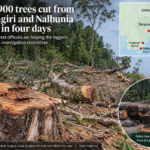 About 900 Trees Cut From Bangladesh Coastal Forests in Four Days