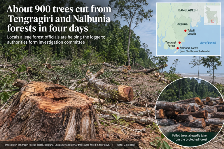 About 900 Trees Cut From Bangladesh Coastal Forests in Four Days