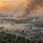 Indonesia Wildfire Smoke Pollution Kills Over 3,500 in September