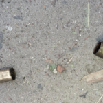 Man Shot Dead in Suspected Gang Rivalry in Bangladesh's Khulna